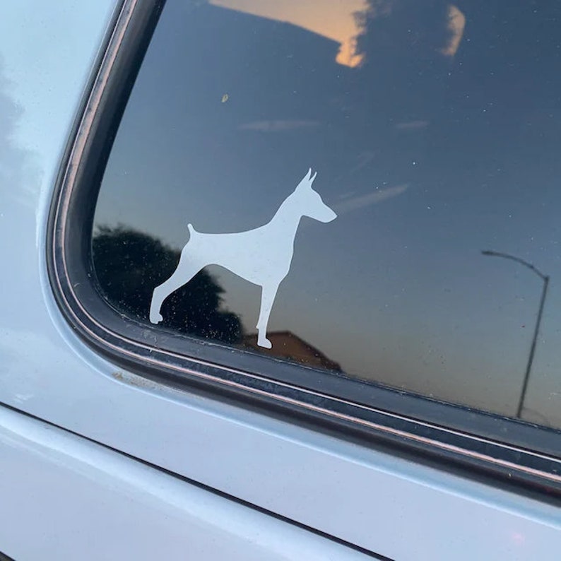 May include: A white silhouette of a Doberman Pinscher dog sticker on a car window.