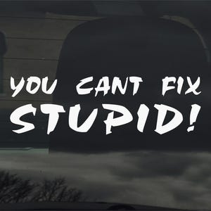 You Can't Fix Stupid Vinyl Sticker Funny Car Window Laptop & More