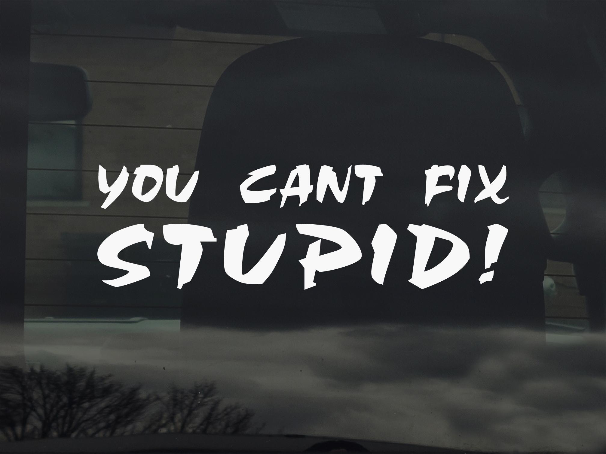 Cant Fix Stupid Memes Australia