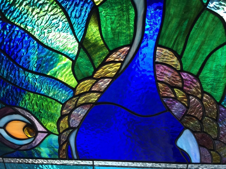 Peacock feather delight glass window