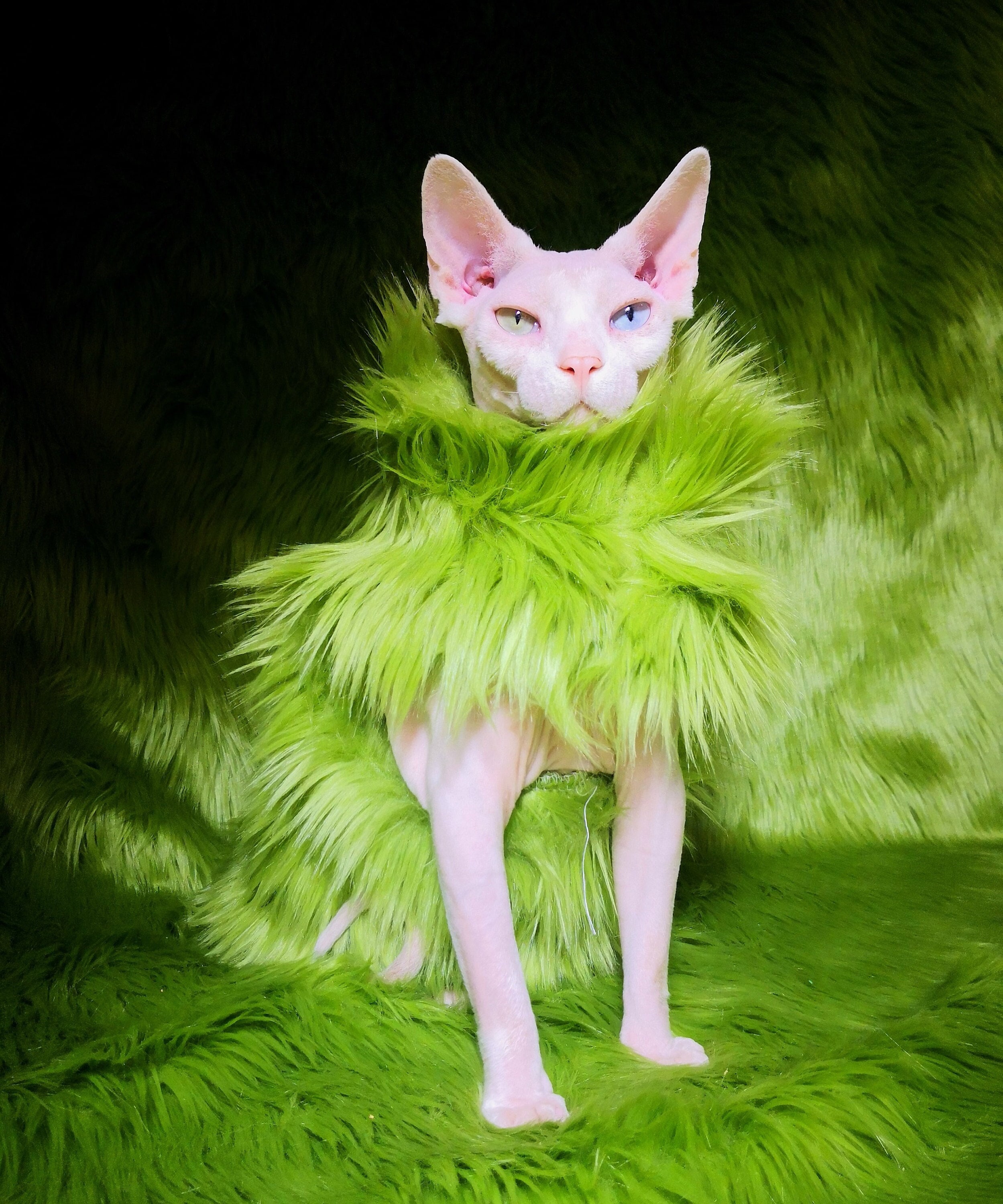 The Grinch Faux Fur Cat Sweater Etsy