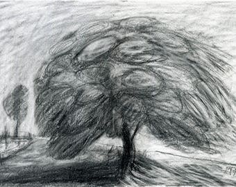 TREE in the WIND - Tree Drawing - Fine Art - Pencil Drawing Landscape - ElizabethA Fox - Black and white