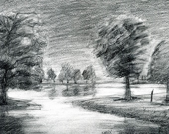 Chestnut Pond Tree Drawing, Landscape Pencil Art by ElizabethA Fox