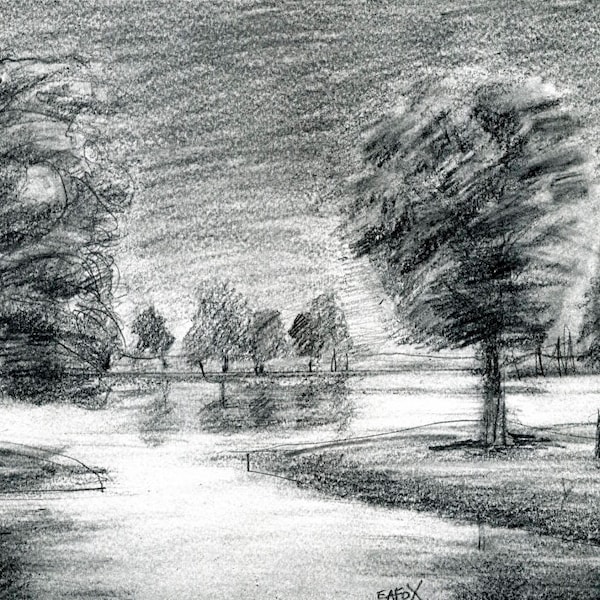Tree Drawing, CHESTNUT POND, Fine Art, Pencil Drawing, Landscape Drawing, ElizabethA Fox, Black and white