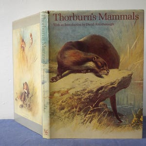 Thorburn’s Mammals book, lovely colour plates, animal illustrations, watercolour nature