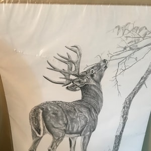 Vintage Wildlife Print The Licking Stick by John Gilles/Deer Sketch Print/Signed and numbered original art/Cabin Decor/Rustic Home Decor