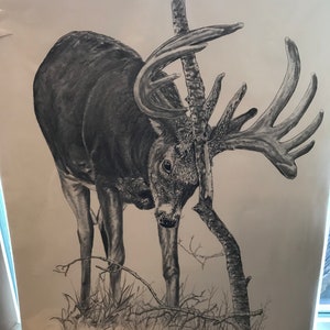 Vintage Wildlife Art Leaving A Message By John Gilles/Buck Print/Pencil Sketch/Signed and numbered wildlife art/Cabin Decor/Antlers/Deer