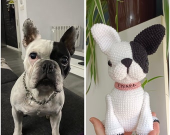 Personalized Crochet French Bulldog, Hand Knitted Amigurumi Dog Pet