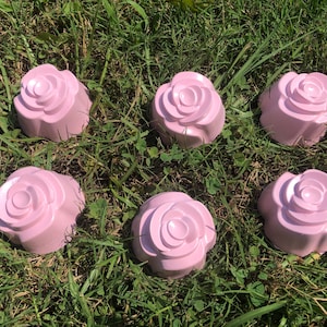 Pink Roses Solid Concrete Outdoor Decoration Set of 6