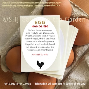 Egg Washing Instruction Stickers, Fresh Egg Handling, Coop Accessories, Farm Market Supplies, Backyard Ducks Chickens, Egg Care Labels