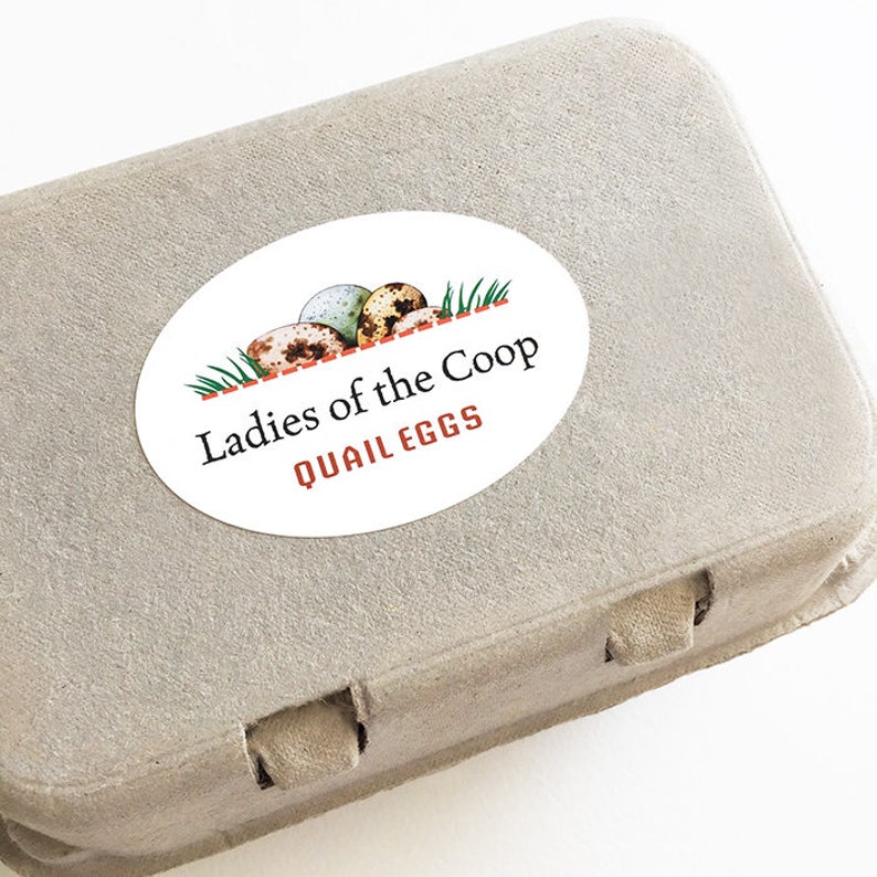 Quail Egg Stickers 15 Farm Product Labels Back Yard Coop Etsy