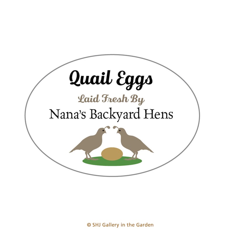 Quail Egg Carton Stickers Farm Product Labels Back Yard Nest Etsy