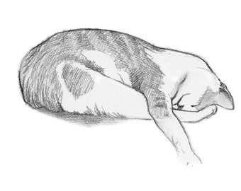Cat Charcoal Drawing, Animal Art, Gift for Cat Lover, Sleeping Cat Drawing, Print from Original Illustration 8 x 10