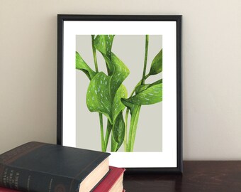 Botanical Illustration, Watercolor Leaves, Calla Lily, Gift for Gardener, Leaf Drawing, Home Decor Art Work, 5 x 7 or 8 x 10