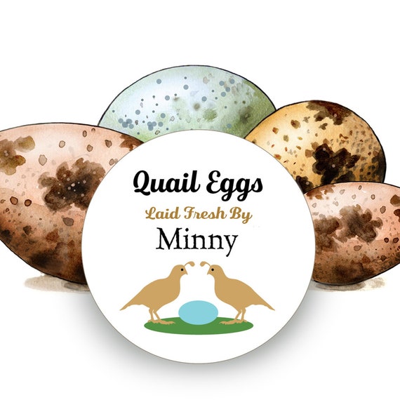 Quail Egg Carton Stickers, Farm Product Labels, Back Yard Nest Supplies,  Farm Market, Homesteading Gift, 2.5 Round or 2.5 X 1.75 Oval 