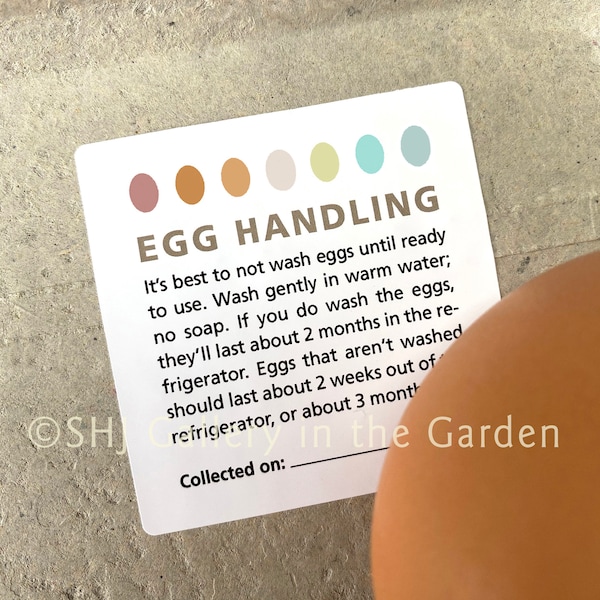 Egg Handling Instruction Stickers, Fresh Egg Care, Coop Accessories, Farm Market Supplies, Backyard Animals, Egg Care Labels