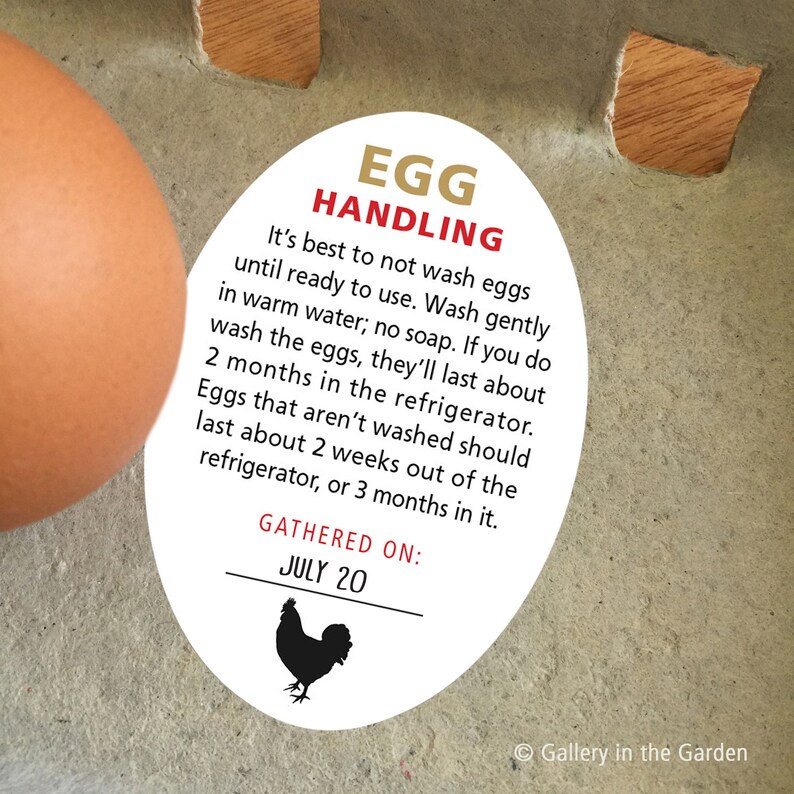 Egg Washing Instruction Stickers Fresh Egg Handling Coop Etsy