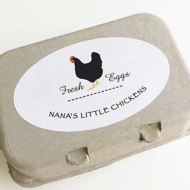 Egg Carton Labels Chicken Stickers Coop Supplies Backyard Etsy