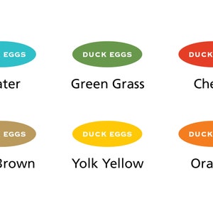 Duck Egg Labels, Personalized Duck Sticker, Egg Carton Label, Gift for Duck Keeper, Food Sticker, Duck Drawing, 2.5 x 4.25 or 1.75 x 2.5 image 4