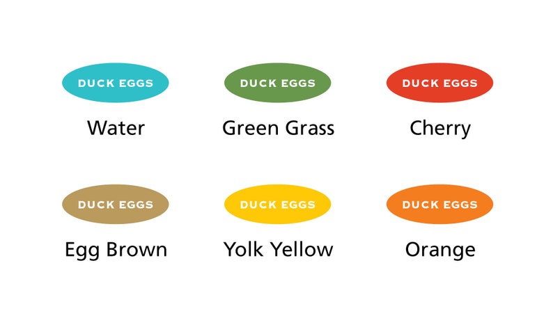 Duck Egg Labels, Personalized Duck Sticker, Egg Carton Label, Gift for Duck Keeper, Food Sticker, Duck Drawing, 2.5 x 4.25 or 1.75 x 2.5 image 4