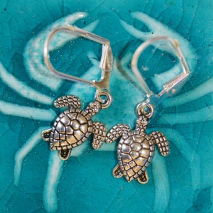 May include: A pair of silver earrings featuring a turtle design. The earrings have a hook closure and are made of metal.