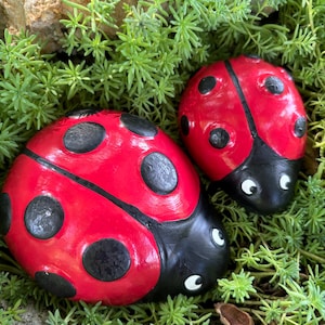 May include: Two painted ladybug rocks, one larger than the other, with black spots and white eyes, nestled in green foliage.
