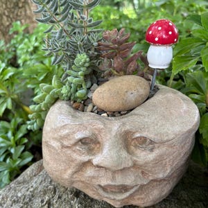 Face Planter Pot Happy Face Funny Face Succulent Pot Flower Houseplant Handmade Concrete Garden Decor Trinket Dish