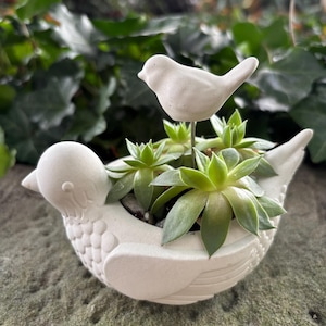 Cement Bird Planter: Modern Farmhouse Succulent Pot, Trinket Dish