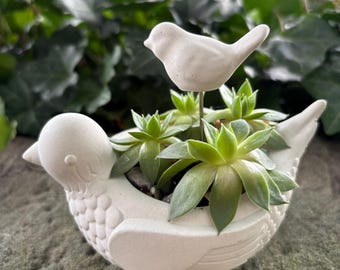 il_340x270.7147367218_g9f5.jpg