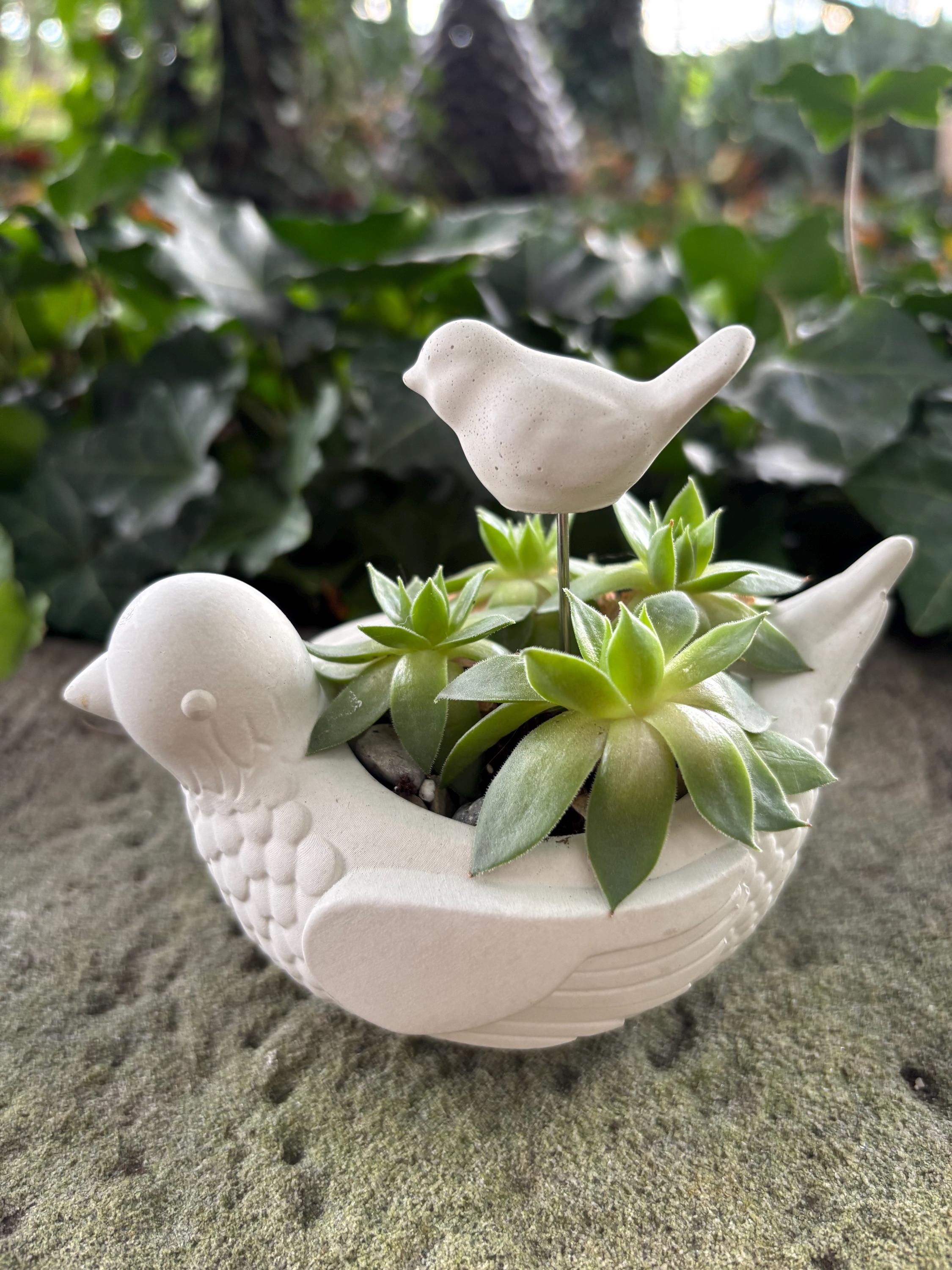 * vintage pot ୨୧ * 蒼い鳥の mini テリーヌポット il_fullxfull.7147367218_g9f5.jpg
