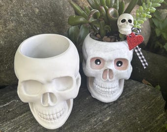 Cement Skull Planter, UNPAINTED: Succulent Pot, Goth, Halloween Decor, Handmade
