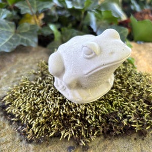 May include: A small, off-white frog statue with detailed features, resting on a bed of green moss. The frog has a textured surface and is set against a backdrop of green foliage and a stone surface. A decorative garden ornament.