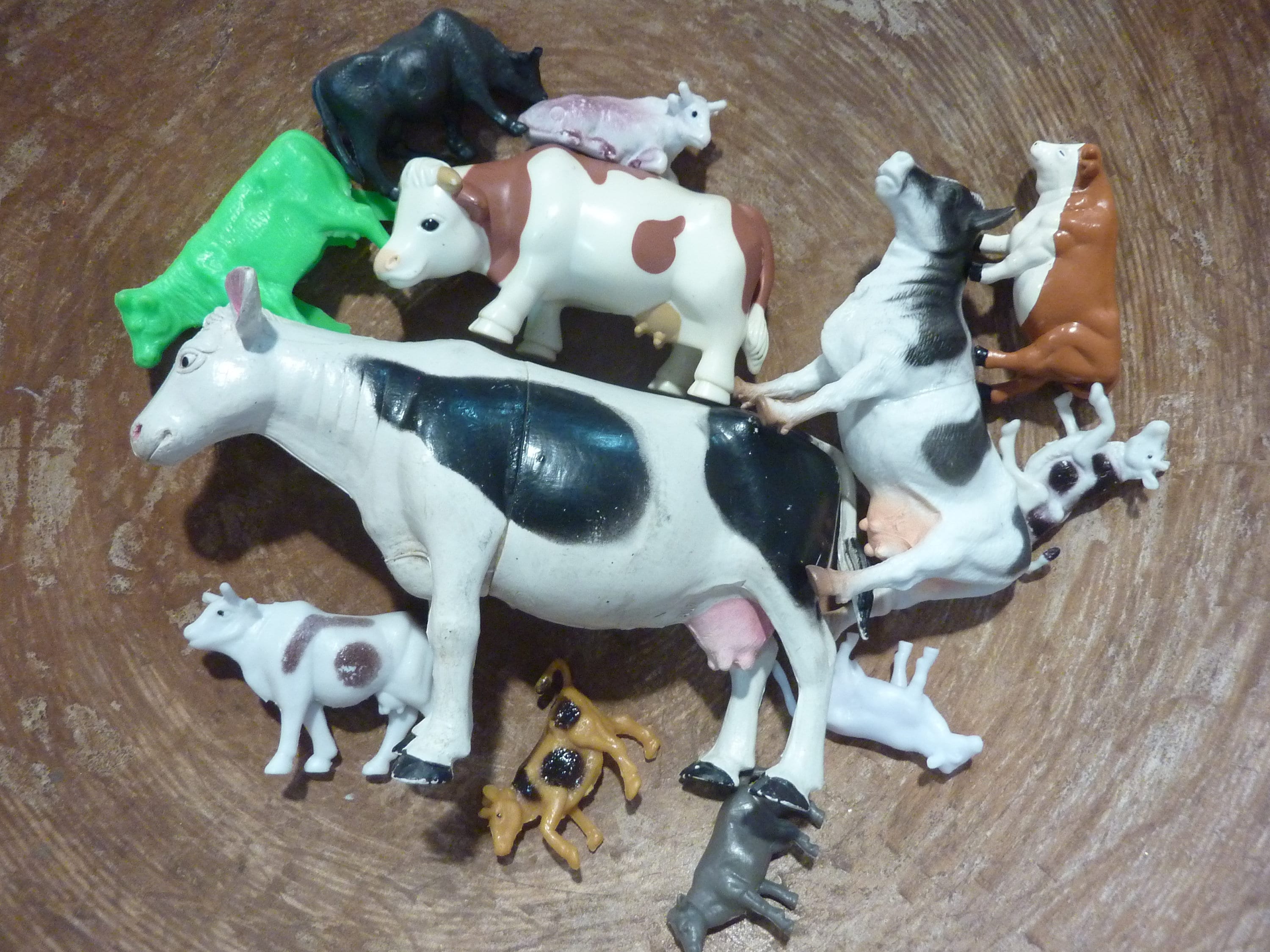 12 Miniature Cow Plastic Toy Figure Animal Terrarium Fairy Etsy UK