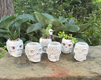 3 Cement Skull Planters, UNPAINTED: Succulent Pot, Goth, Halloween Decor, Handmade