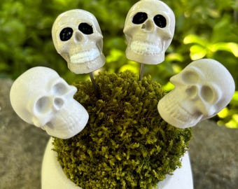 2 Miniature Skull Plant  Floral Picks: Handmade, Cement, Halloween, Goth Decor