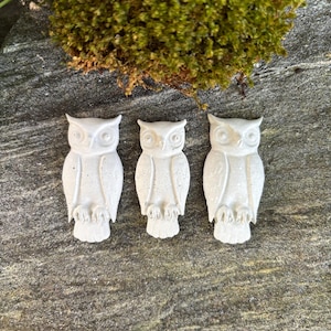 May include: Three small, off-white owl figurines are arranged in a row. The owls have detailed features, including large eyes and textured feathers. They are set against a gray stone surface, with green moss in the background.