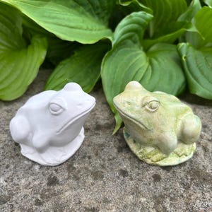 May include: Two frog figurines, one white and one green, sit side-by-side. The white frog has a smooth finish, while the green frog has a textured, aged appearance. The background features large, green leaves.