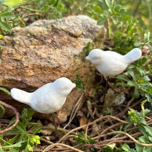May include: Two small white ceramic bird figurines with a rustic finish. The birds are perched on thin metal stakes and are surrounded by green foliage.
