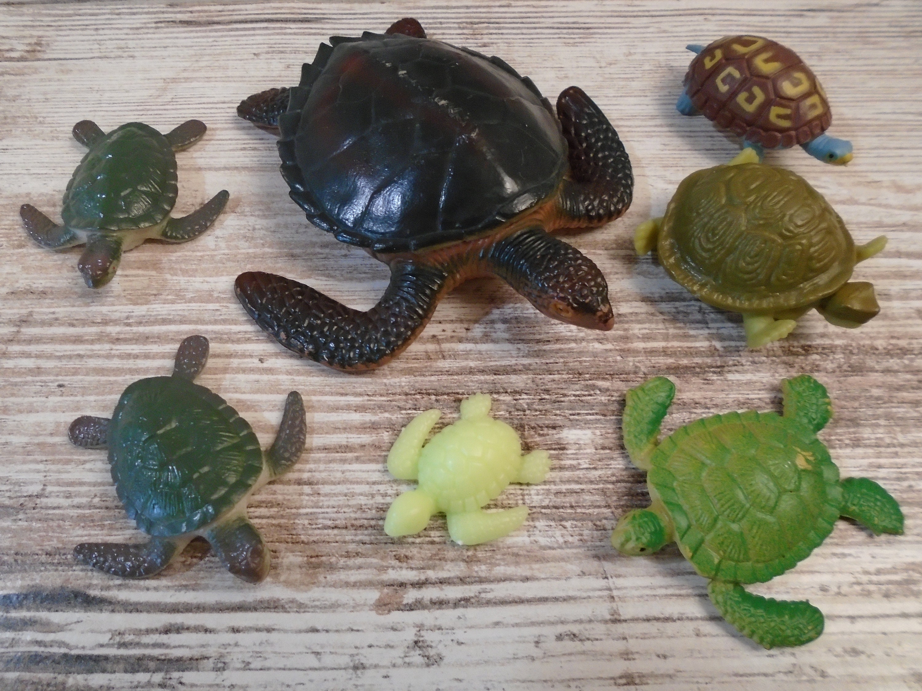 Bememo 16 Pieces Plastic Turtles Party Decorations Small Sea Turtles Toys Realistic Lifelike Plastic Turtle Figurines Fake Tortoises Ocean Animal for Birthday Party Favor Decoration 
