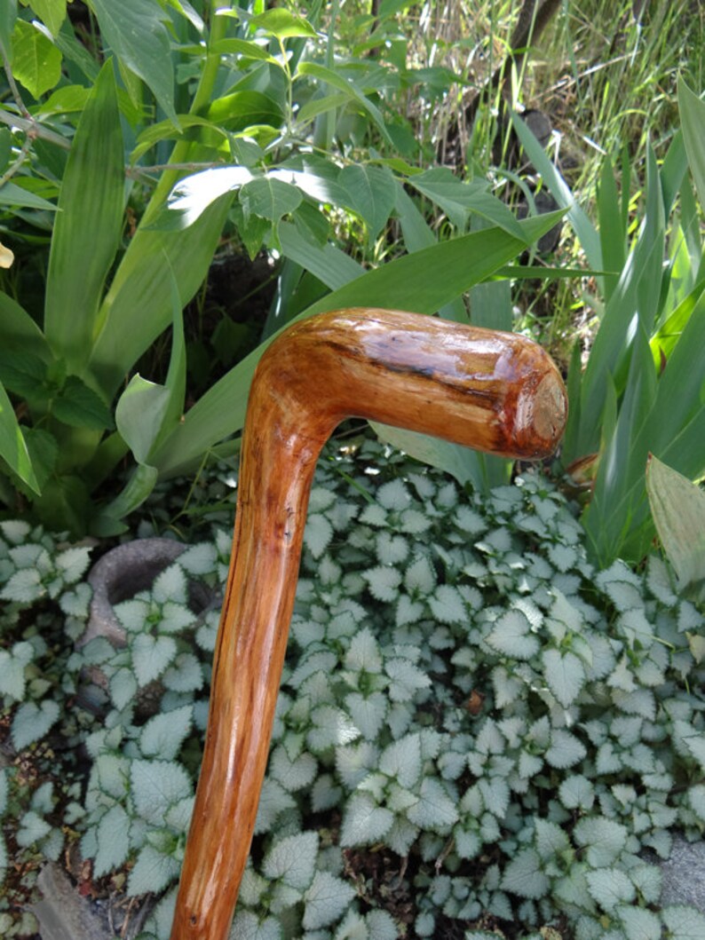 Rustic Natrually Curved Walking Cane Etsy