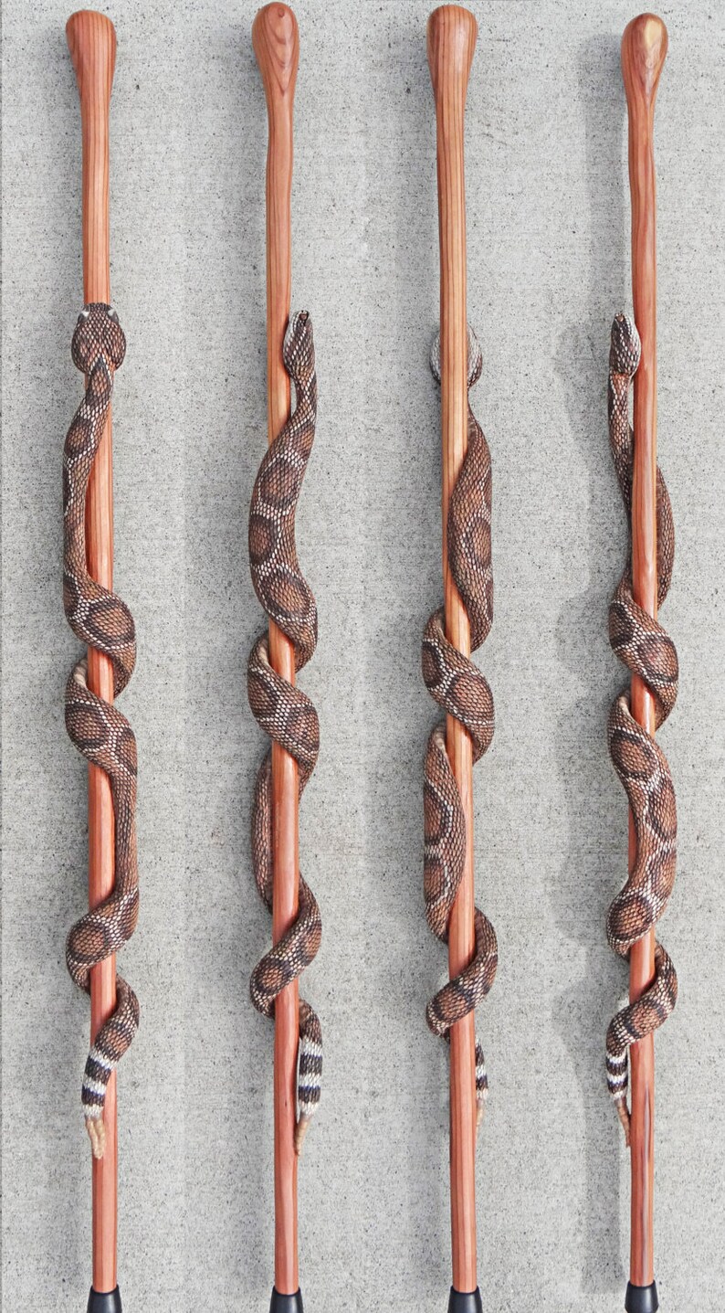 Rattle snake Walking Stick Etsy