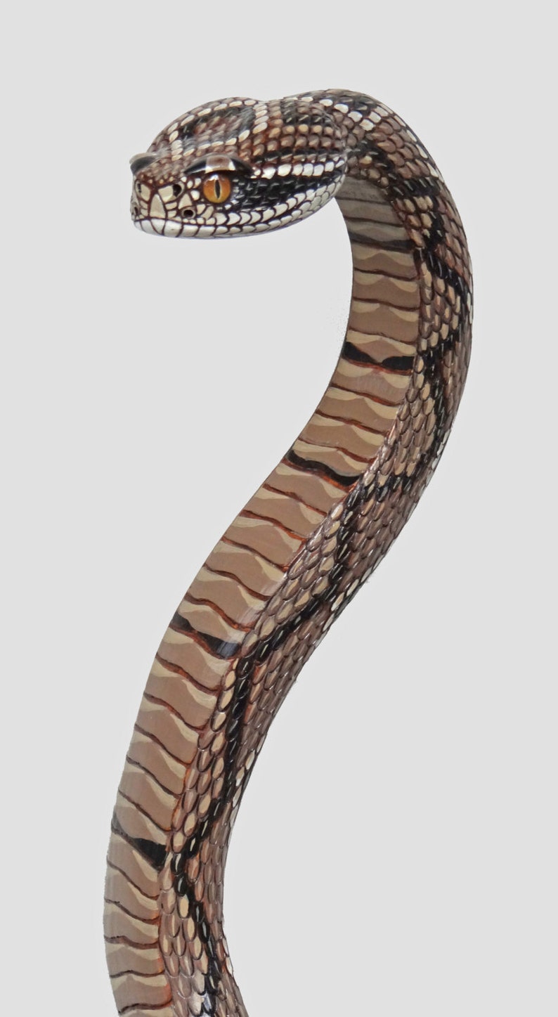 Wood Carved Rattlesnake Walking Cane Etsy