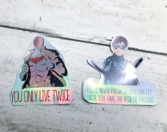 Hood and Wing Stickers