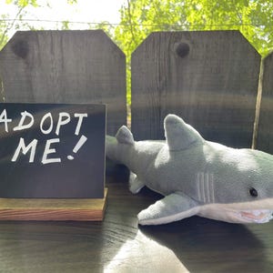 Small Rescue Plush - Happy the Shark