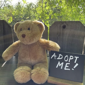 Weighted Rescue Plush - Barnaby the Bear