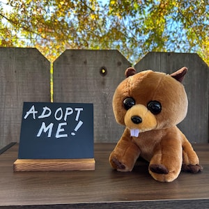 May include: A plush brown beaver toy with large black eyes and a small sign that reads "ADOPT ME!". The sign is black with white lettering and sits on a wooden stand. The beaver is on a dark brown surface.
