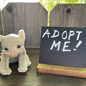 Small Rescue Plush - Scratches the Cat