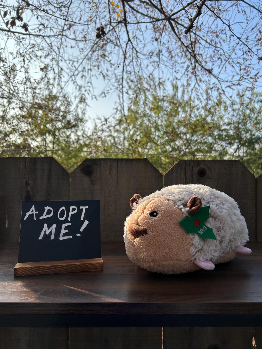 Weighted Plush Guinea Pig - Etsy