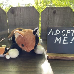 Weighted Rescue Plush Set - Chip the Calico Cat 1.5lbs and Mini Chip