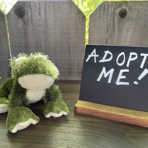 Small Rescue Plush - Orb the Frog